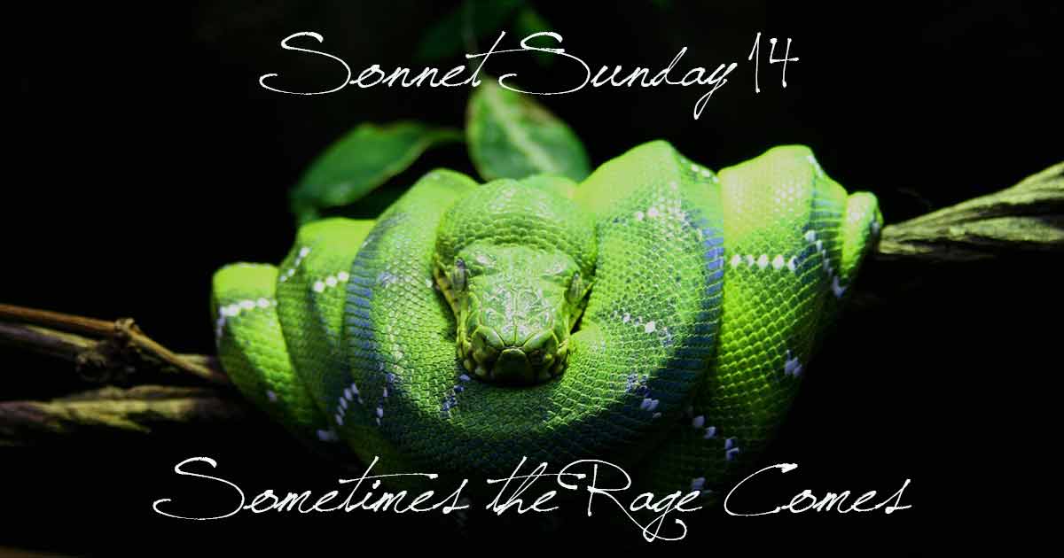 Sonnet Sunday 14: Sometimes the Rage Comes