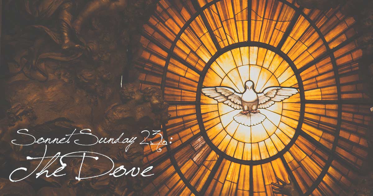 Sonnet Sunday 23: The Dove