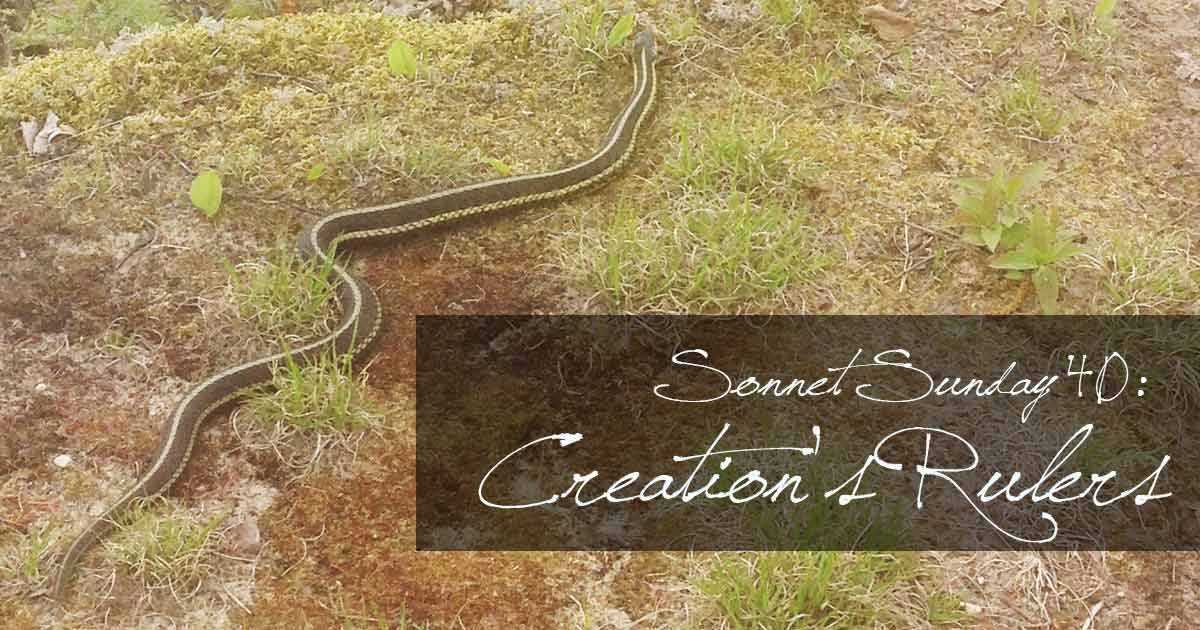 Sonnet Sunday 40: Creation’s Rulers