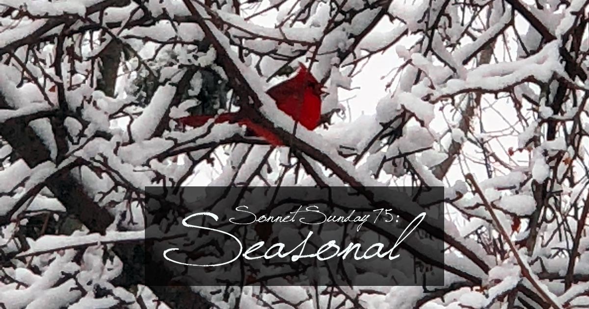 Sonnet Sunday 75: Seasonal