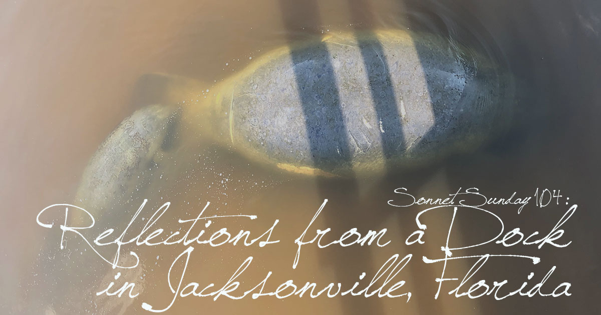 Sonnet Sunday 104: Reflections from a Dock in Jacksonville, Florida